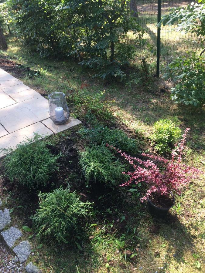 Villa Zlote Wydmy Międzywodzie Eksteriør billede